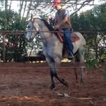 Jaime Rocha - @jaime.rocha.10048 - Instagram