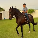 Jaime Rocha 🥋 - @jaimerocha1905 - Instagram