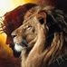 Jaime Rodrigues - Facebook