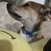 Jaime Rosales - @jaime.rosales62 - TikTok
