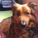 Jaime Rosales - Facebook