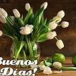 Jaime Rosales Mata - @jaimerosalesmata - Instagram