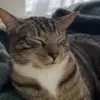 :) - @jaime.rosenberg - TikTok