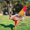 Jaime Rosillo - @jaimerosillo215 - TikTok