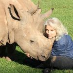 jaime rupert - @jaimerhinos - Instagram