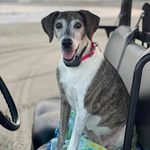 Jaime Roy Simmons - @jaime_simmons - Instagram