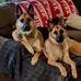 Jaime Simmons - Facebook