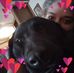 Jaime Simpson - Facebook