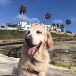 Jaime Spencer - @jdspencer01 - Instagram