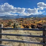 Jaime Stewart - @beefstewco - Instagram