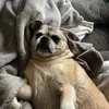 Jaime Sweeney - @jaime.s4 - TikTok