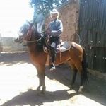 Jaime Isaias Tarango - @buenosincero76.ji - Instagram