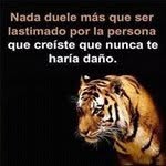 jaime tello - @jaimetello71 - Instagram