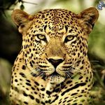 Jaime toran trigo - @jaimetorantrigo - Instagram