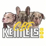 @jaimetrippy805rag - @cbfkennels805 - Instagram