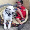 @Jaime varas& - @jaime.varas03 - TikTok