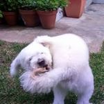 Jaime Fernandes Vasconcelos - @jaimefvasconcelos - Instagram