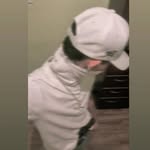 Jaime Veliz - @veliz_trax - Instagram