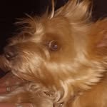 @jaimevines246810 - Instagram