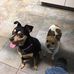 Jamie Vitale - Facebook