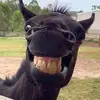 jaimewalters3 - @jaimewalters3 - TikTok