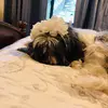 jaimewee004 - @jaimewee004 - TikTok