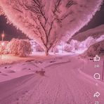 Jamie Werth - Facebook