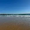 Jaime Willis - @jaime.willis - TikTok
