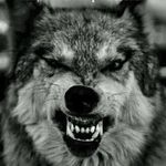 Jaime wolf - @jaime_wolf_ - Instagram