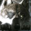 jaime.wolf - @jaime.wolf - TikTok