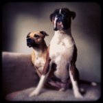 Jaime Wright - @babybearyogi - Instagram