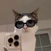 Jamie Wu - @starjamz - TikTok