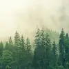 Vivian - @jaimeyoder6 - TikTok