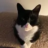 836820 - @jaimeelewis8 - TikTok