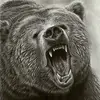 Jaimee Lewis - @jaimee.lewis6 - TikTok