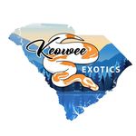 Brandon and Jaimee Long - @keoweeexotics - Instagram