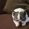 Jaimee Scott - @jaimee.scott - TikTok