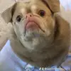 jaimielcrowley3572 - @jaimielcrowley3572 - TikTok