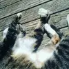 jaimie white - @lulu.white25003 - TikTok
