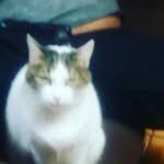 Jairo Cano - @jairo.cano.5496 - Instagram