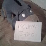 Jairo Cano - @jairocano7266 - Instagram