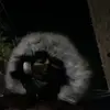 greñas - @jairoduenas - TikTok
