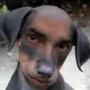 jairoescobar160 - @jairoescobar160 - TikTok