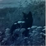 JAIRO D,LUNA - @jairo_luna69 - Instagram