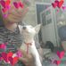 Jairo Enrique Perilla Martinez - Facebook