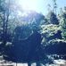 Jaison Johnson - Facebook
