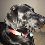 Jake - @jake.vanscoyos8 - Instagram