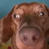 Jake Abernathy - @jakeabernathy1 - TikTok