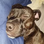 Jake Adkins - @jake.adkins.75685 - Instagram