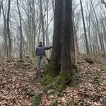 Jake Adkins - @jakeadkins56 - Instagram